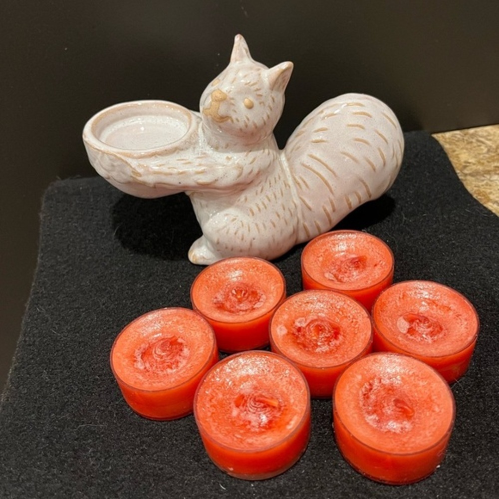 Ceramic Squirrel holder with Sugared Cinnamon Apple tea lights. - Picture 6 of 11